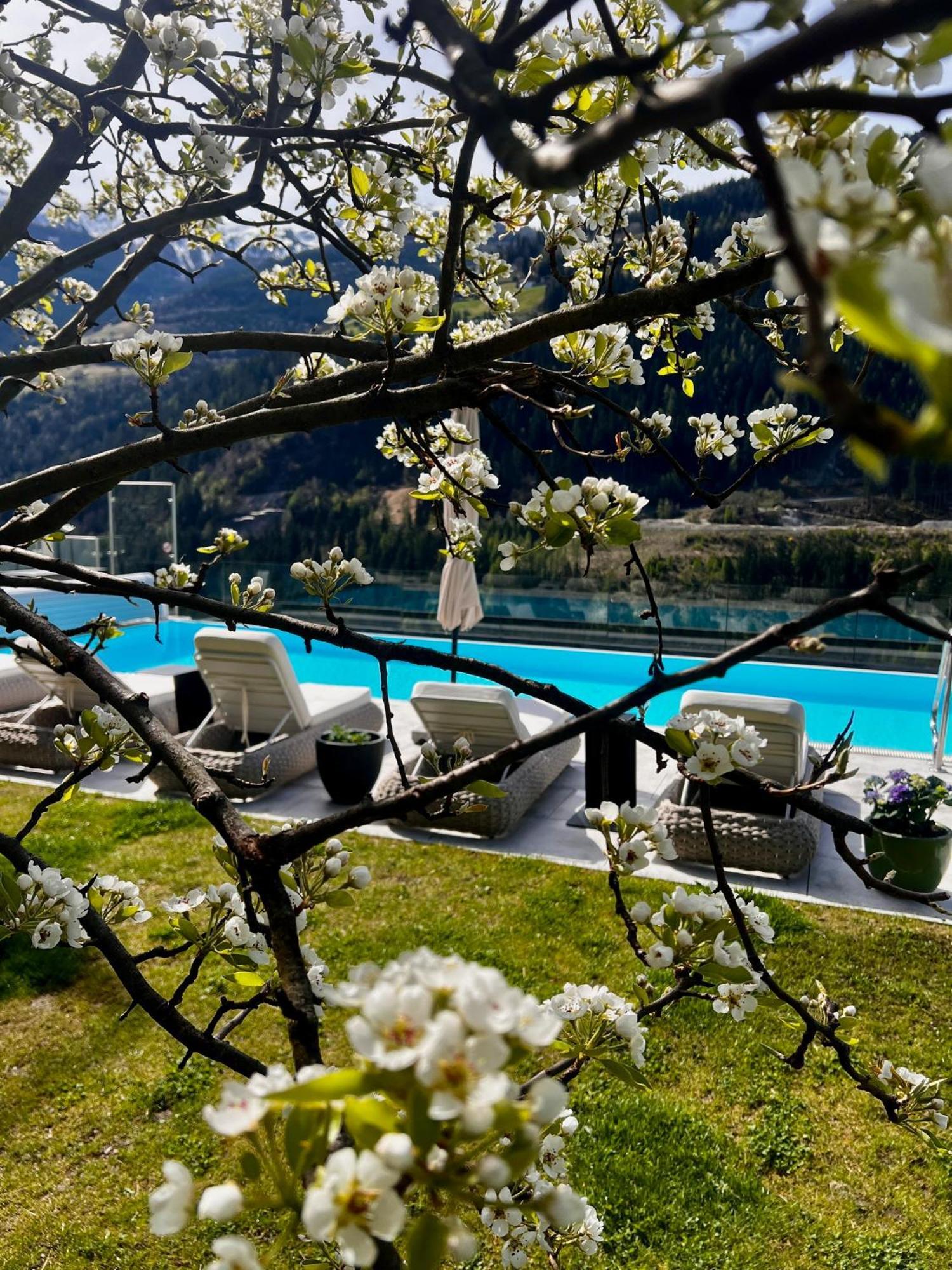 Boutique Apartment Sonnenhang - Incl Rooftop Spa ฟลีส ภายนอก รูปภาพ